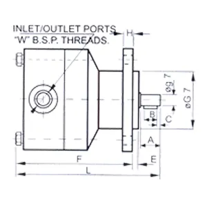 Flange Type Rotary Pumps (Non Reversible / Reversible)