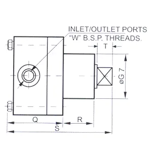 Insert Type Rotary Pump (Non Reversible / Reversible)