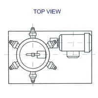 Multiline Radial Lubricator